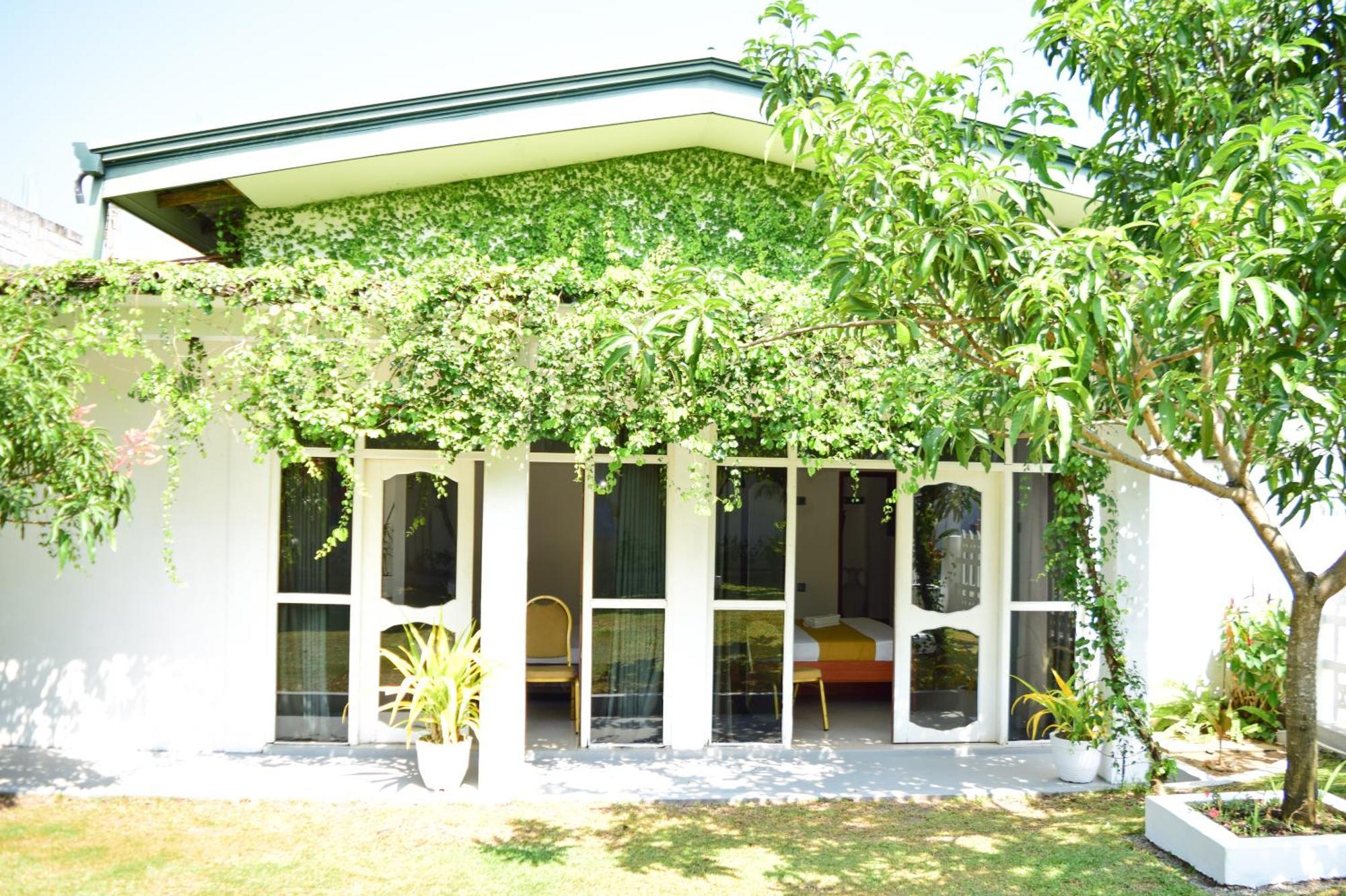 The Bamboo Tree Transit Hotel Katunayaka Εξωτερικό φωτογραφία